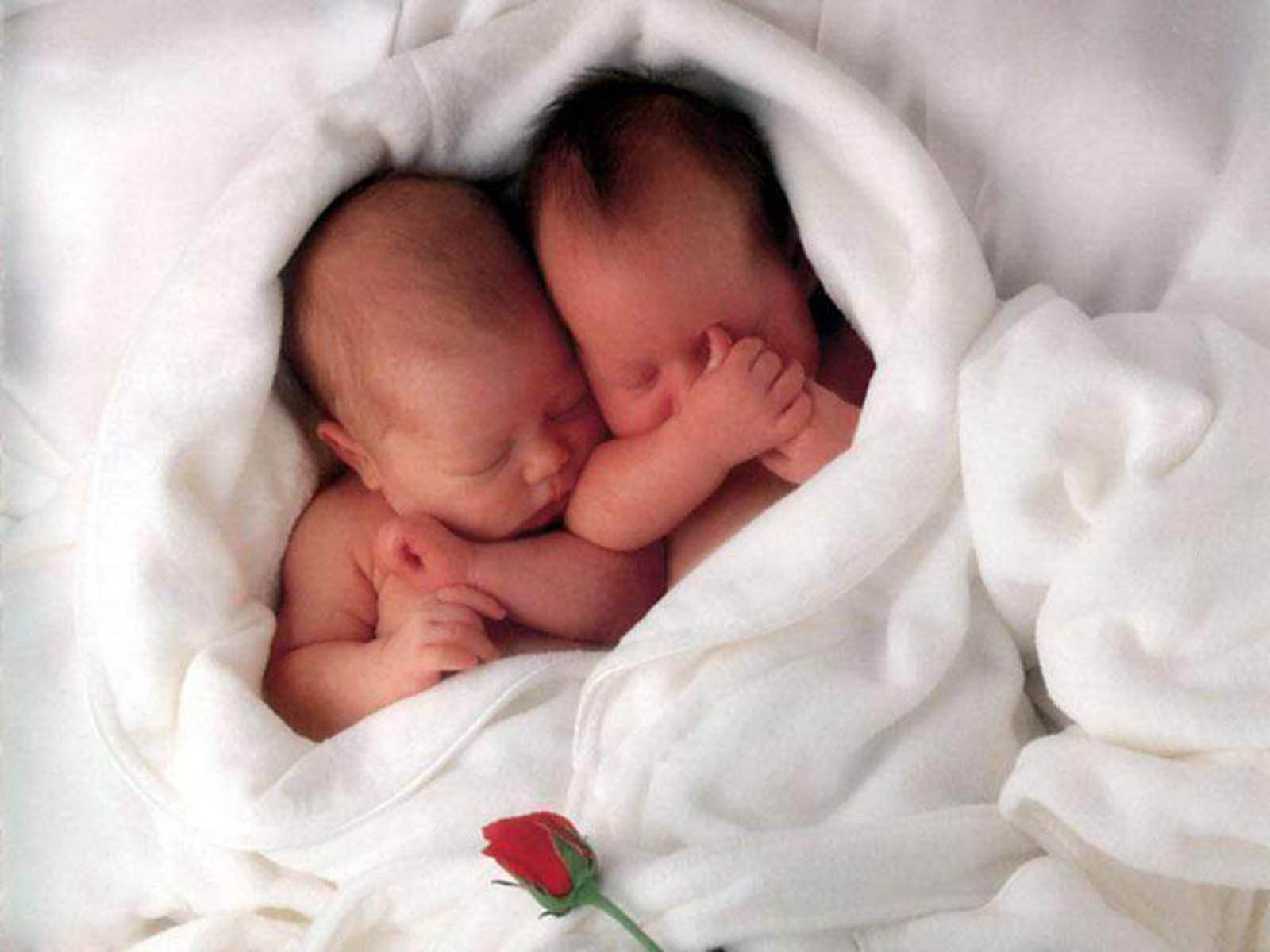 Twins Baby Images Hd - HD Wallpaper 