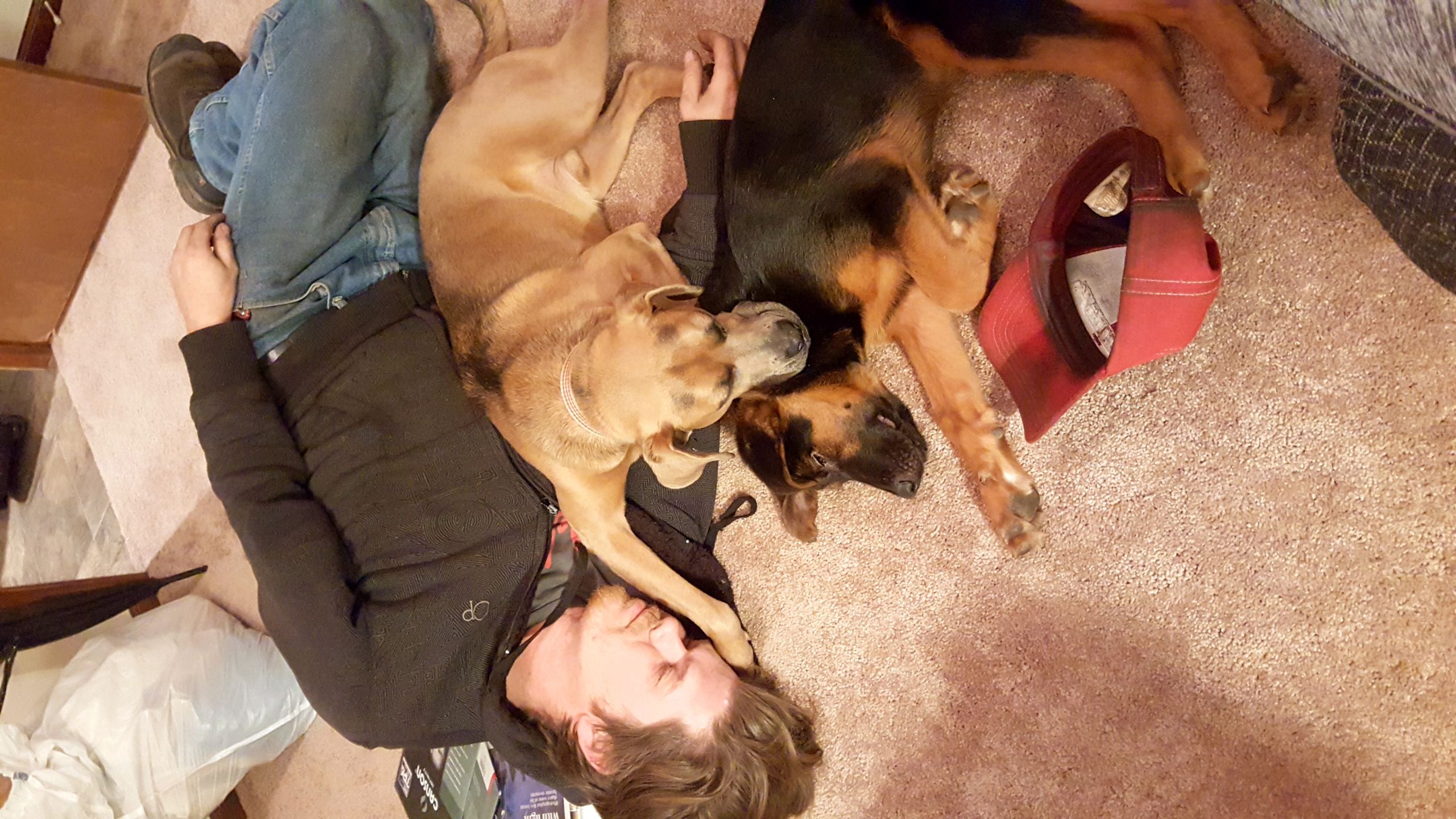 Phone Photo Of Warm Story Of Sleeping Boyfriend And - Guard Dog - HD Wallpaper 