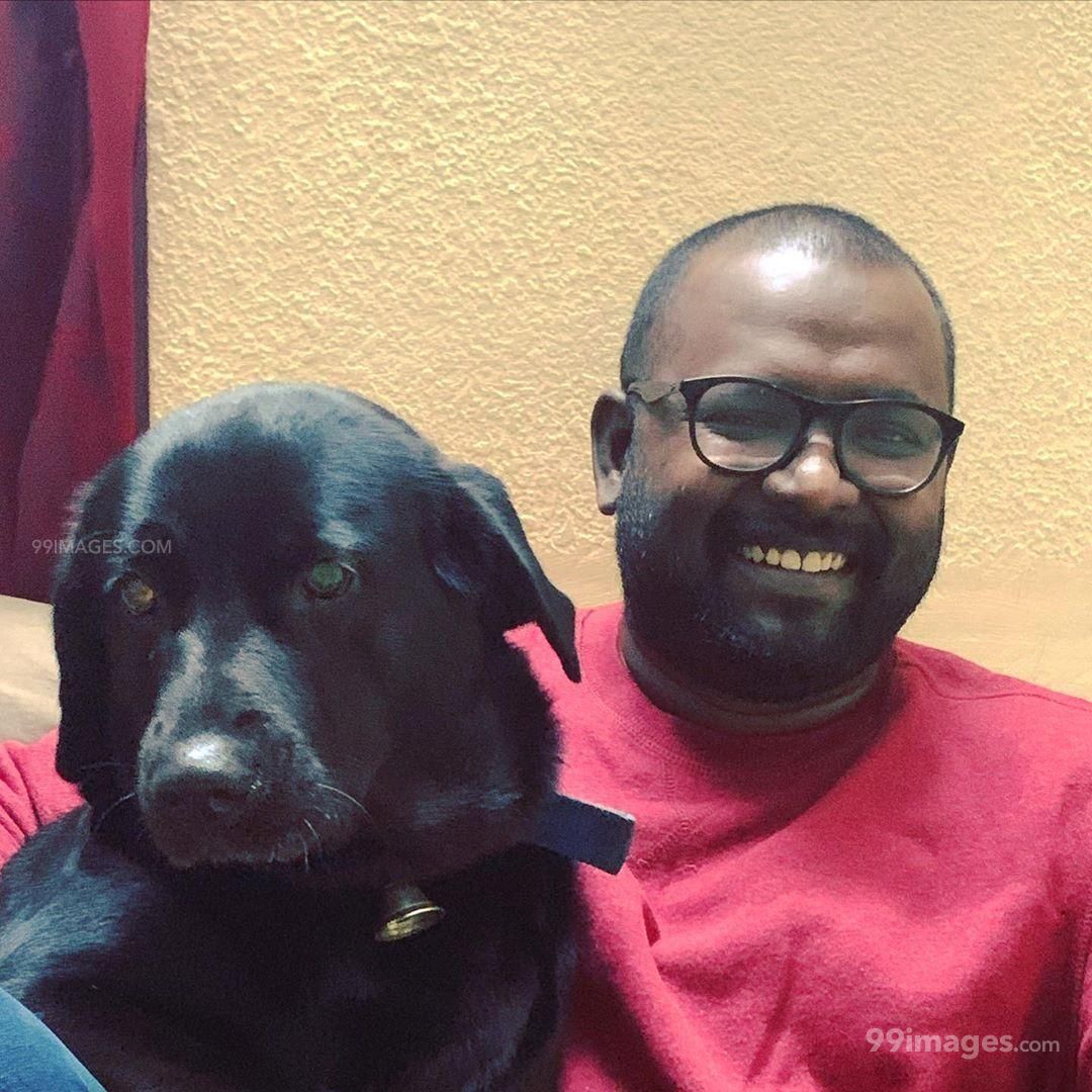 Arunraja Kamaraj Hd Photos & Wallpapers For Mobile - Companion Dog - HD Wallpaper 