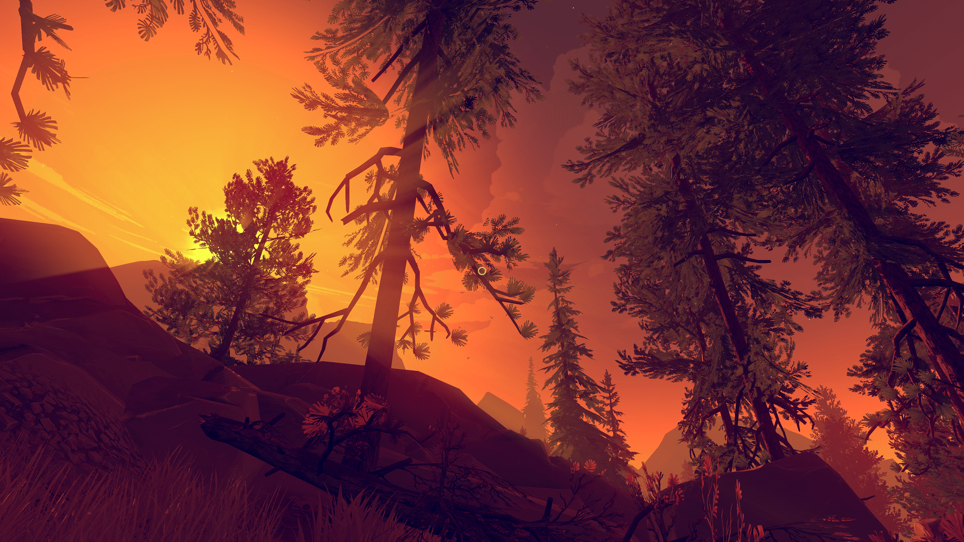 Evening - HD Wallpaper 