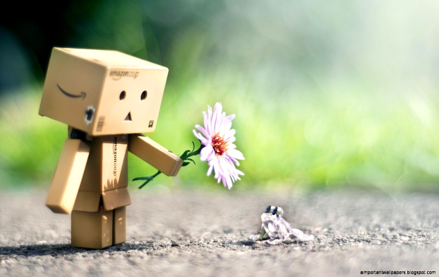 June 2013 Antivirus Online Scan - Danbo Photography - HD Wallpaper 
