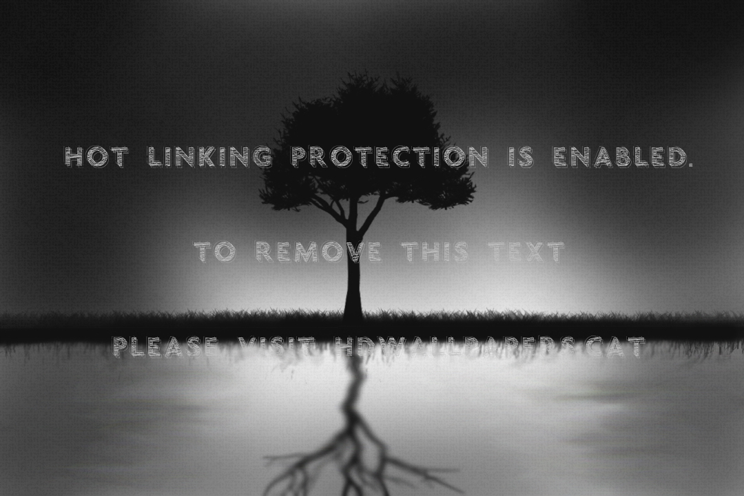 Reflection Of Tree Black Dead Alive Dark Sad - Tree Reflection In Water - HD Wallpaper 