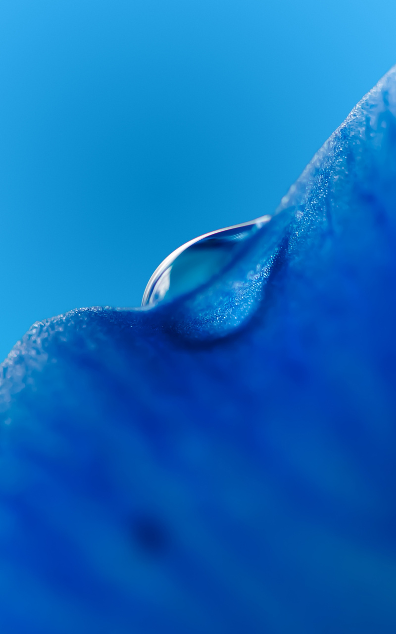 Huawei - HD Wallpaper 