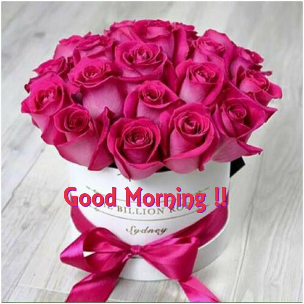 Good Morning Rose Flower Image - Beautiful Flower Rose Bouquet - HD Wallpaper 