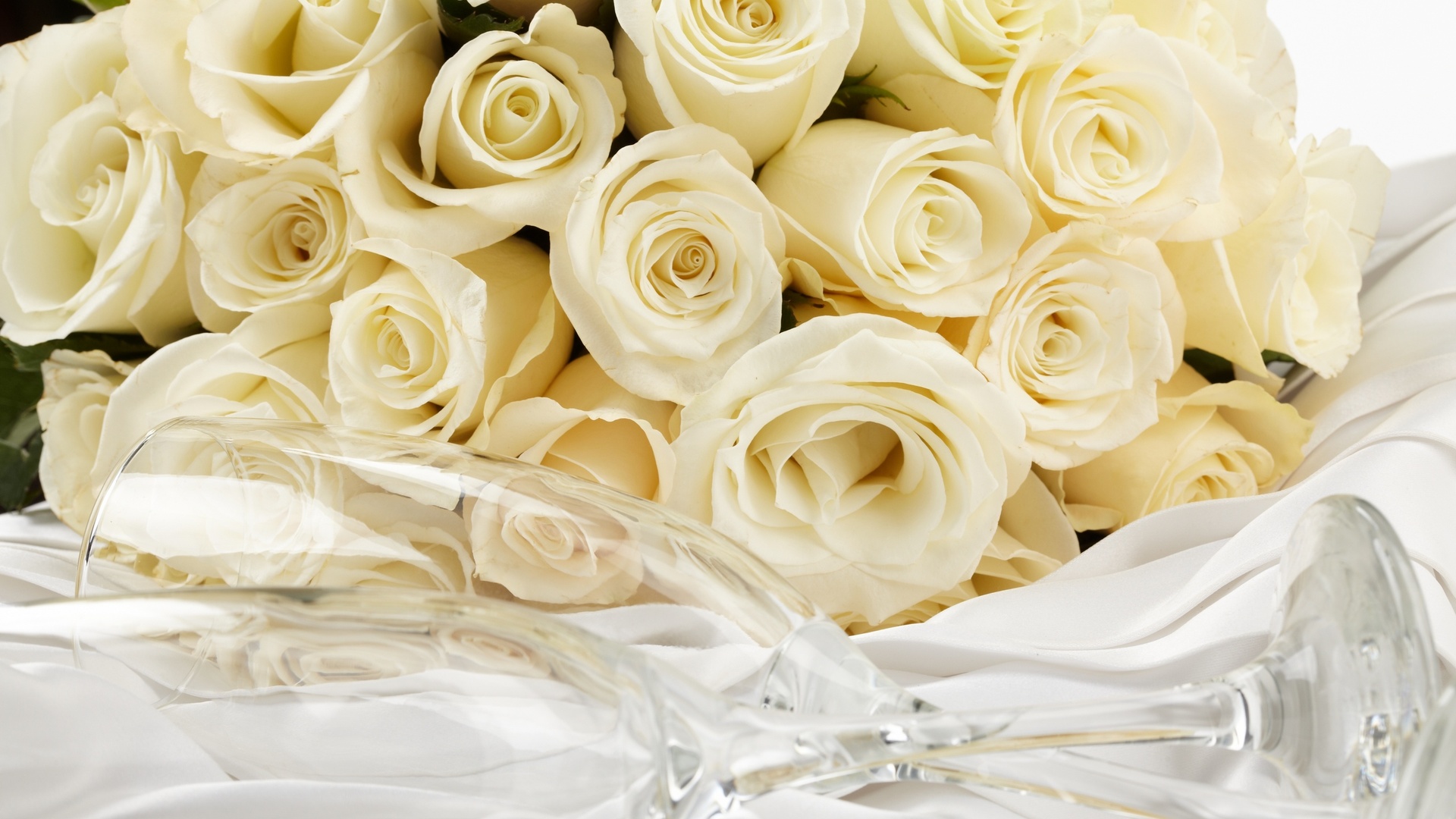 White Rose Hd Wallpaper - HD Wallpaper 