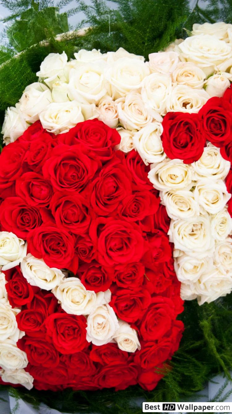 Garden Roses - HD Wallpaper 