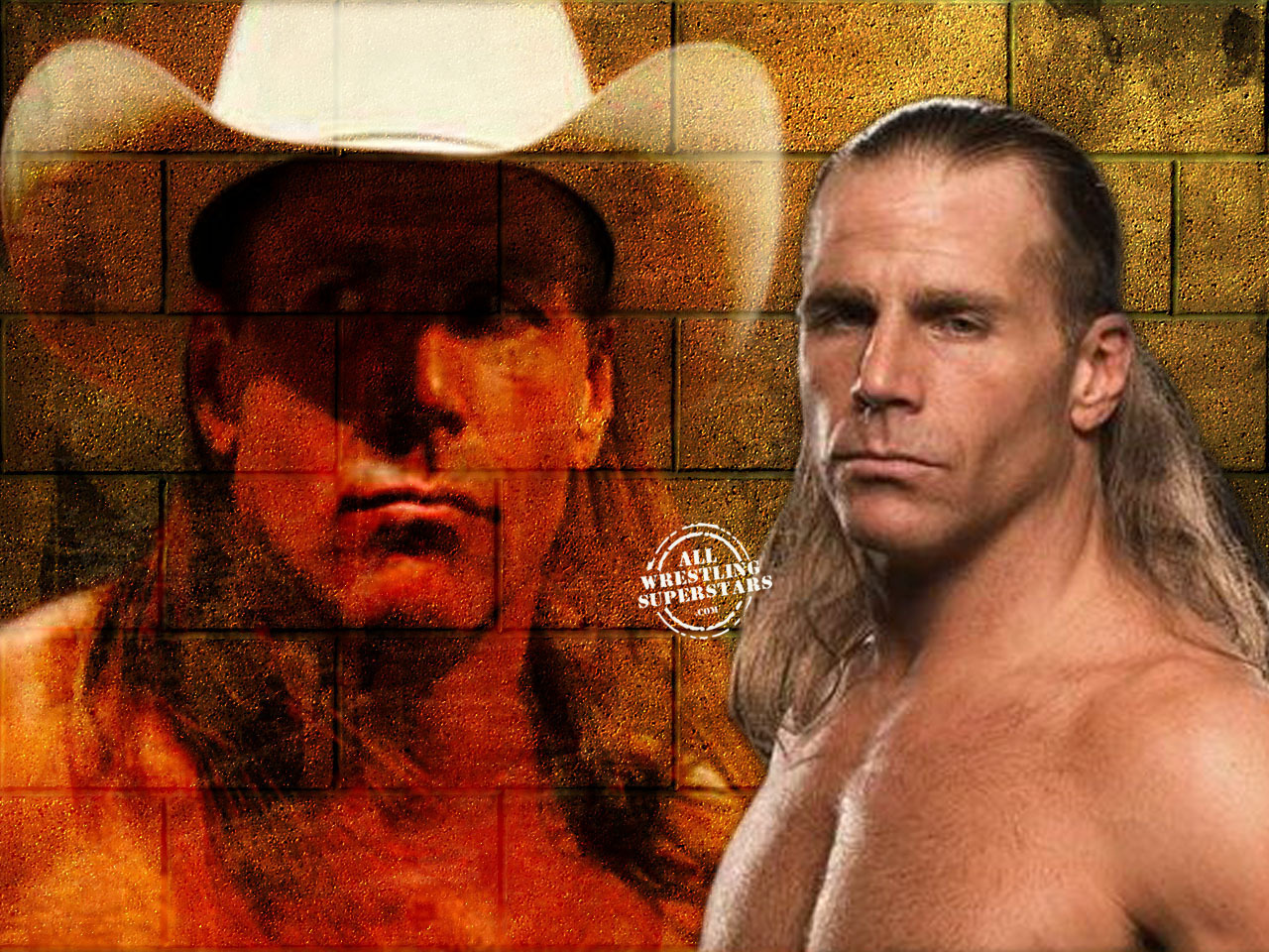 Hbk <3 - Shawn Michaels - HD Wallpaper 