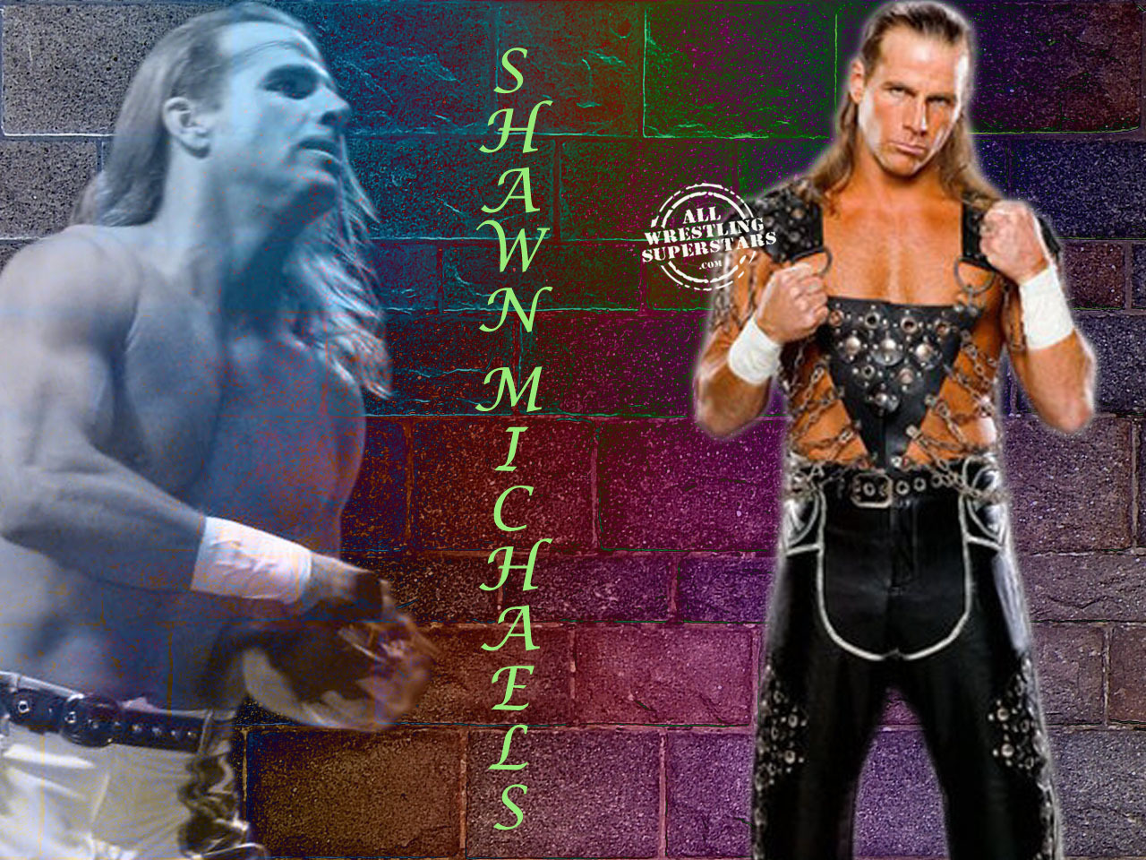 Hbk <3 - Shawn Michaels - HD Wallpaper 