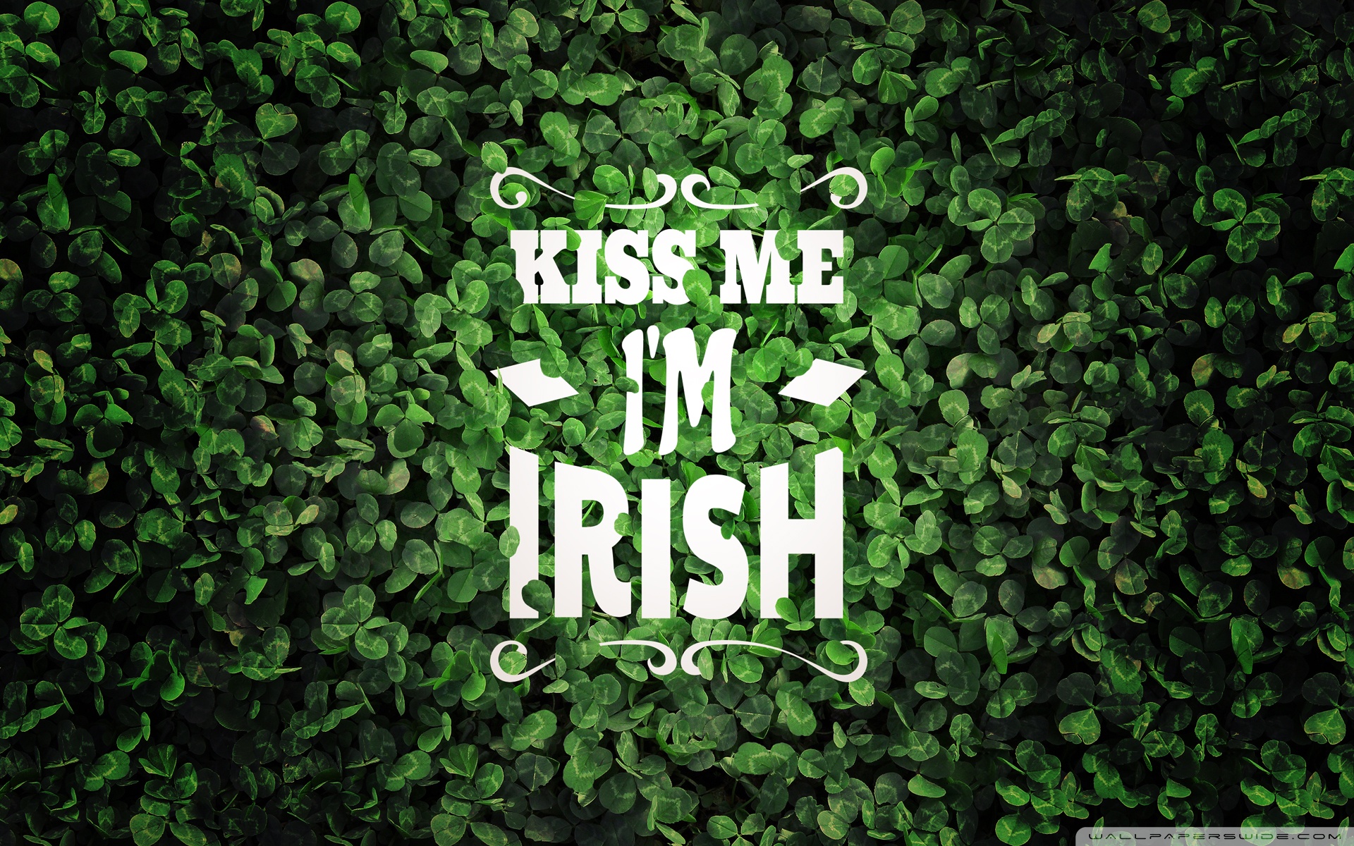 Kiss Me In Irish Background - HD Wallpaper 