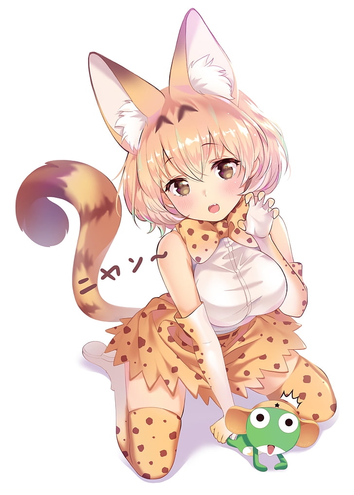 Kemono Friends Serval 4 Ears - HD Wallpaper 