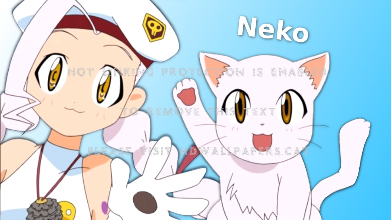 Keroro Gunso Giroro S Cat Anime - Keroro Gunso Cat - HD Wallpaper 