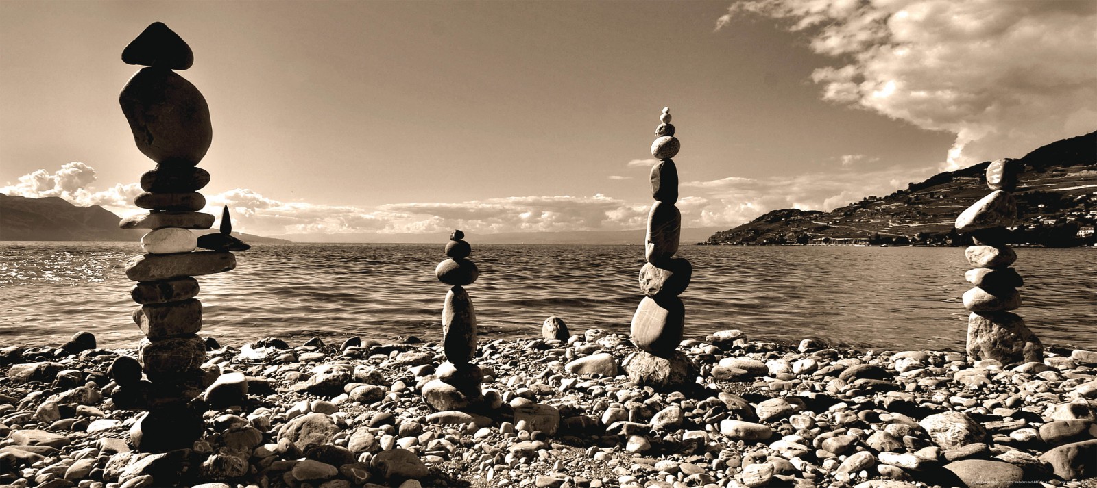 Fototapete Wald Sepia - HD Wallpaper 