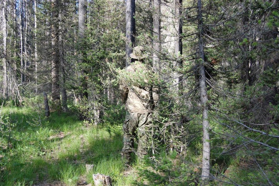 Crye Precision Multicam Arid Review - HD Wallpaper 