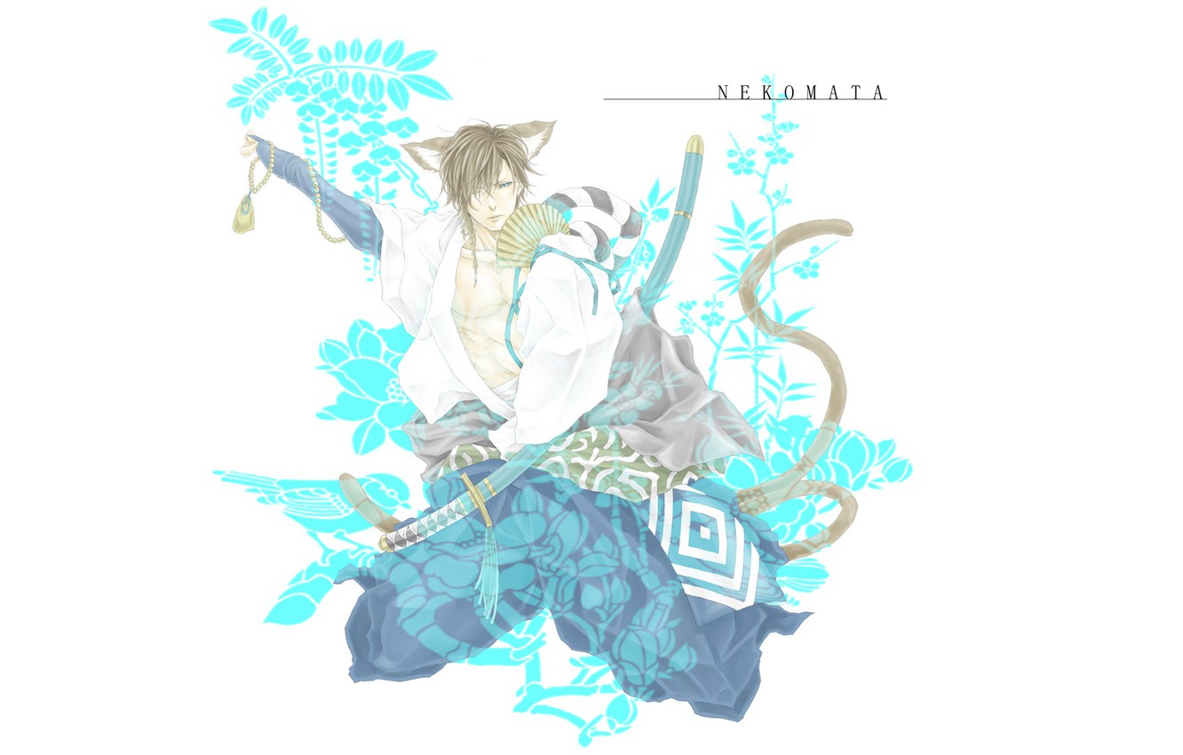 Photo Wallpaper Guy, Neko, Sengoku Basara, The Era - Illustration - HD Wallpaper 