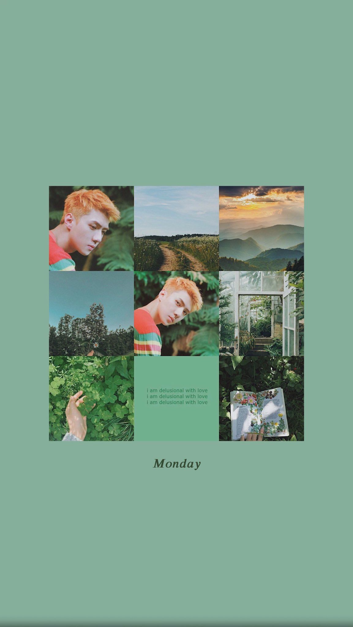 Sehun - HD Wallpaper 