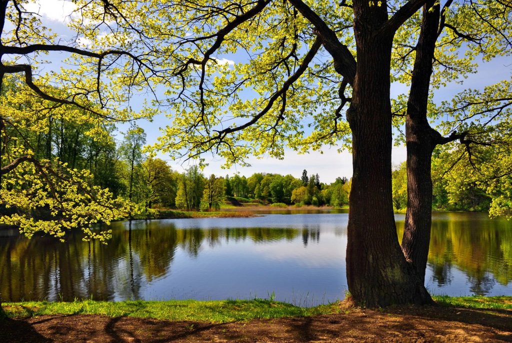 Full Screen Beautiful Nature Images Hd - 1024x687 Wallpaper Full Screen Beautiful Nature Images Hd - 1024x687 Wallpaper