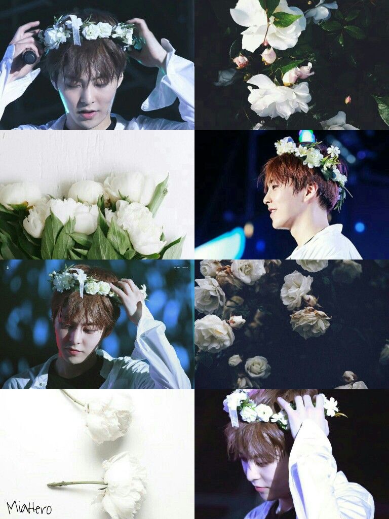 Xiumin Wallpaper Aesthetic - HD Wallpaper 