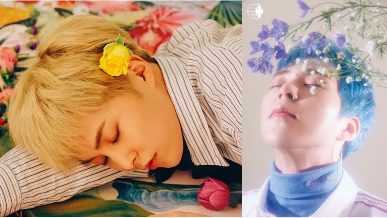 Exo Cbx Blooming Days Photobook - HD Wallpaper 
