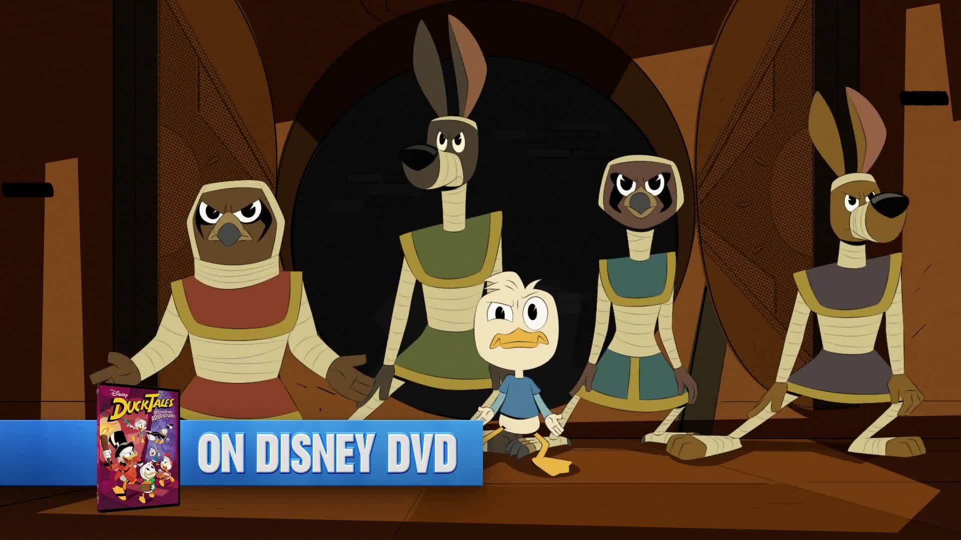 Ducktales Destination Adventure Dvd - HD Wallpaper 