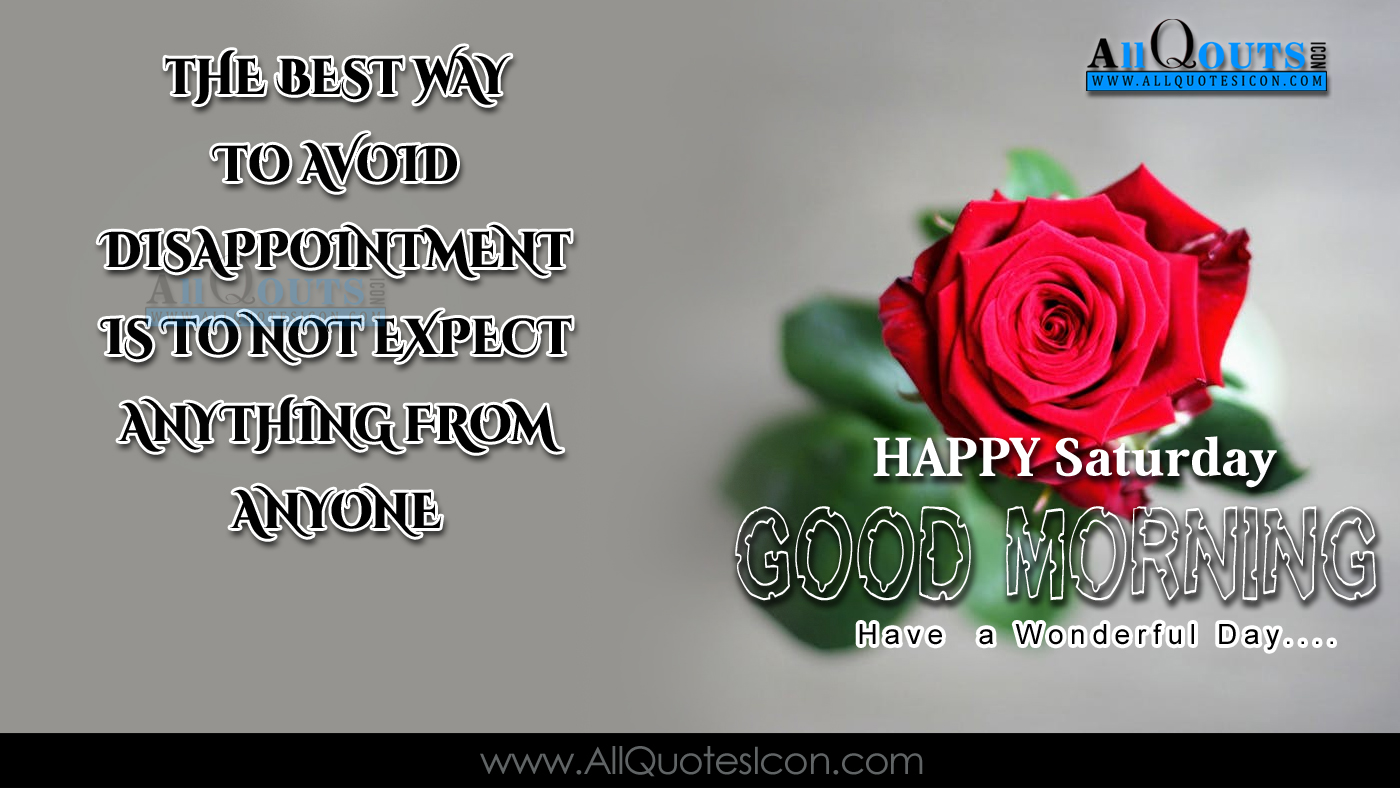 English Good Morning Quotes Wshes For Whatsapp Life - Garden Roses - HD Wallpaper 