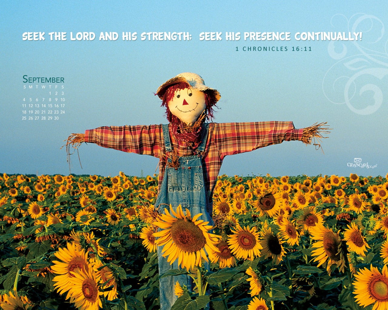 Scarecrow In Sunflower Field - HD Wallpaper 