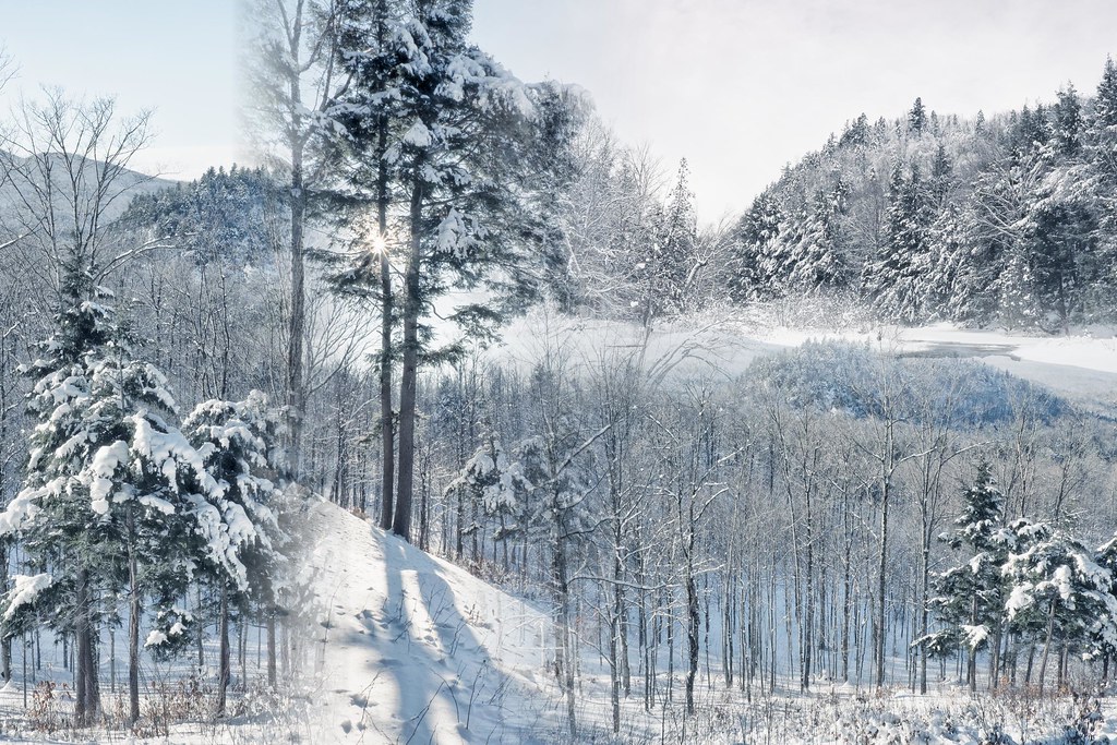 Snow - HD Wallpaper 