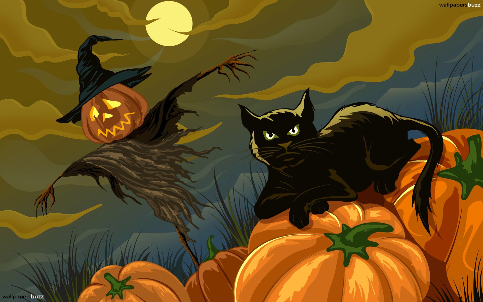 Halloween Black Cat And Pumpkin - HD Wallpaper 