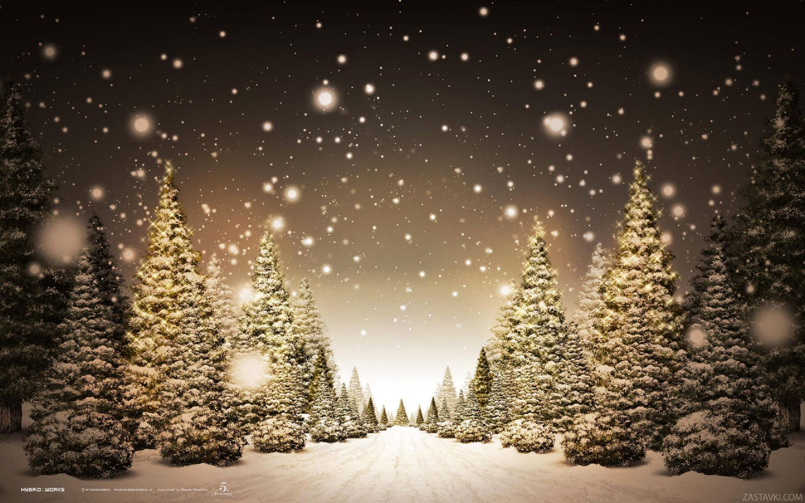 Winter Christmas Tree Background - HD Wallpaper 