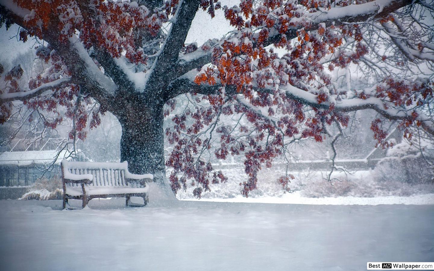 Снегопад Обои - HD Wallpaper 