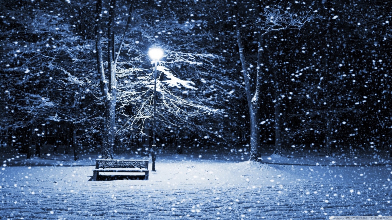 Winter Wallpapers 1600x900 Hd - HD Wallpaper 