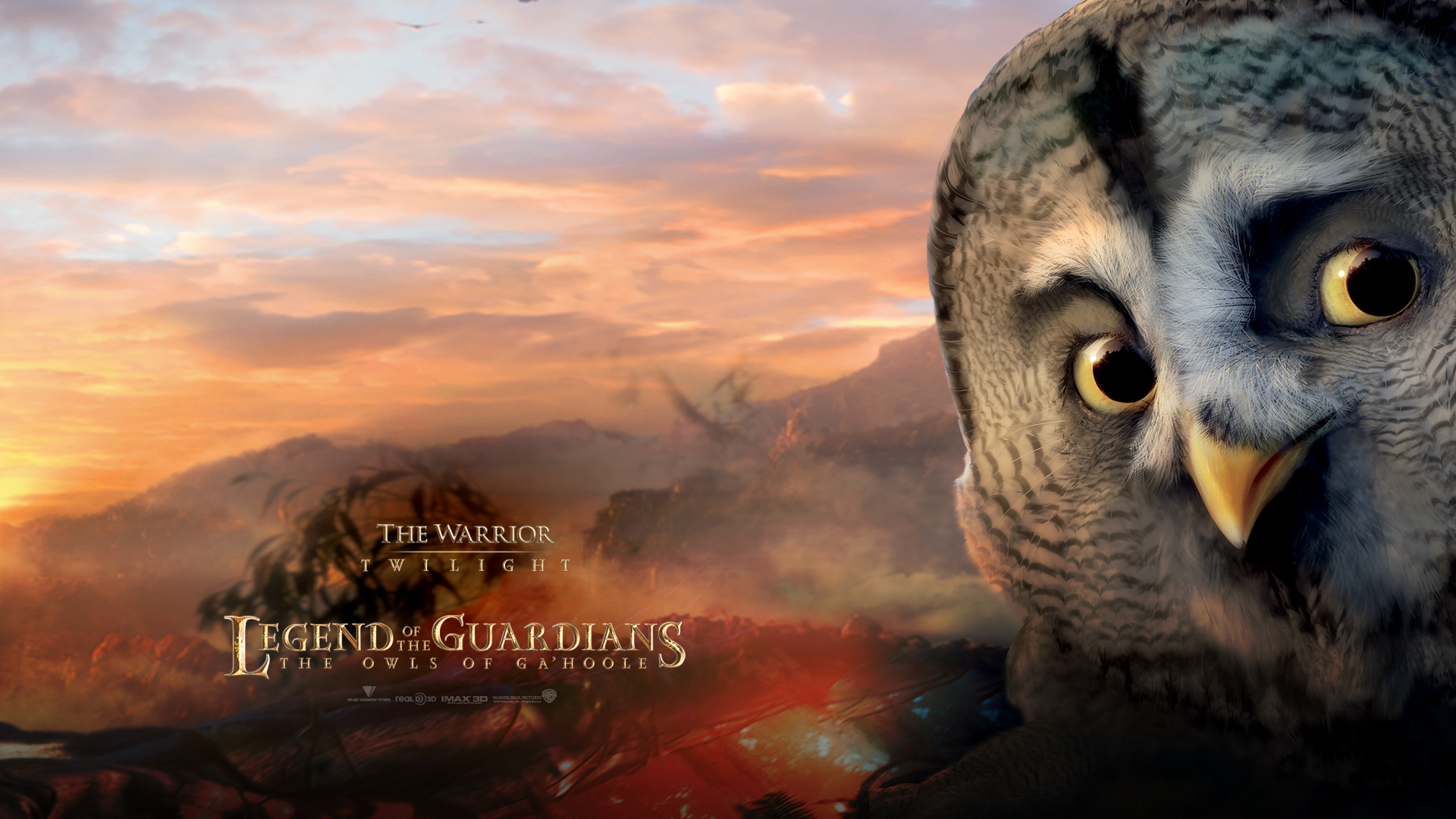 Legend Of The Guardians Wallpaper - Owls Of Gahoole Twilight - HD Wallpaper 