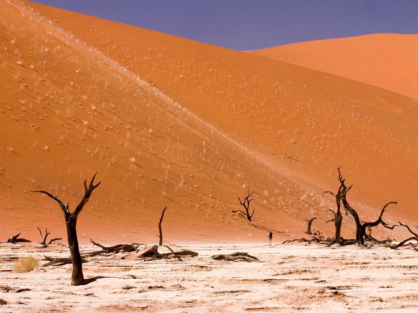 Namibia Nature - HD Wallpaper 