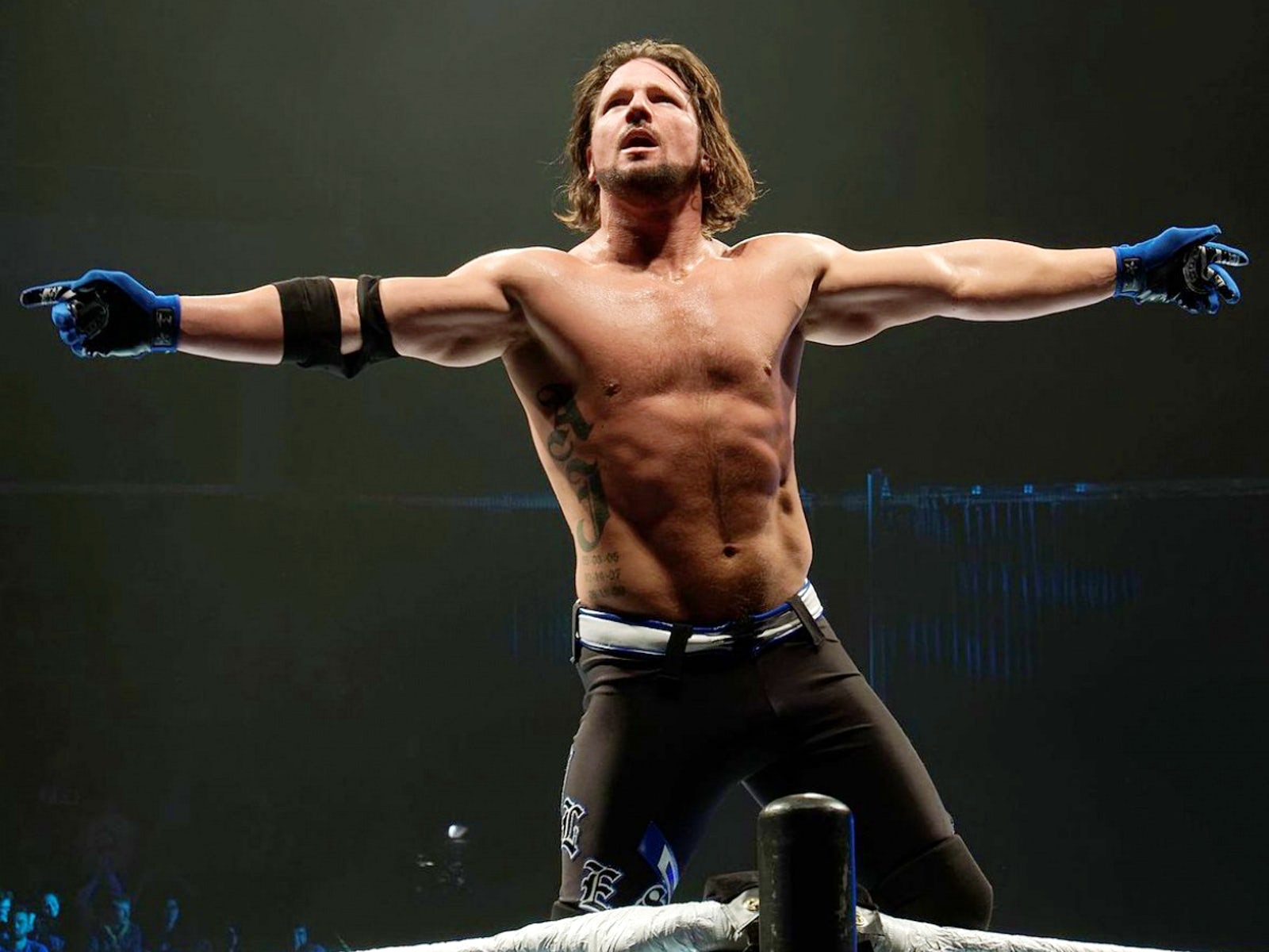 Aj Styles Wrestlemania 33 Promo - HD Wallpaper 