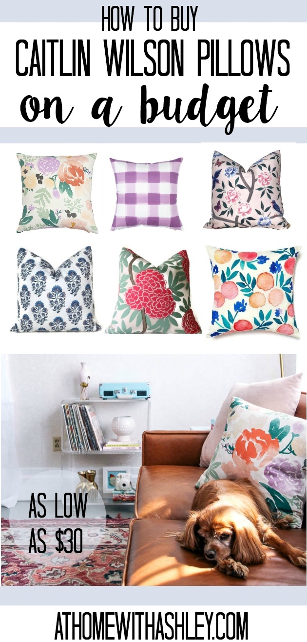 How To Buy - Cushion - HD Wallpaper 