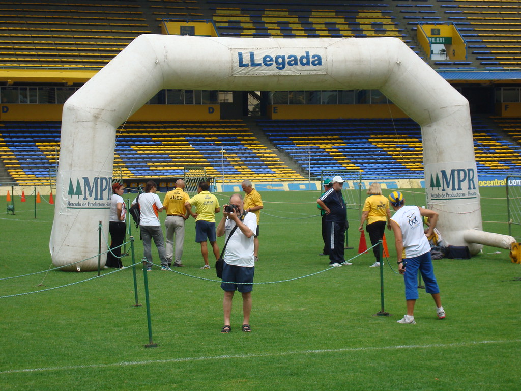 Artificial Turf - HD Wallpaper 