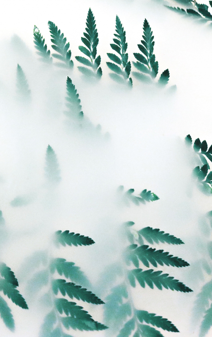 La Cancion J Balvin - HD Wallpaper 