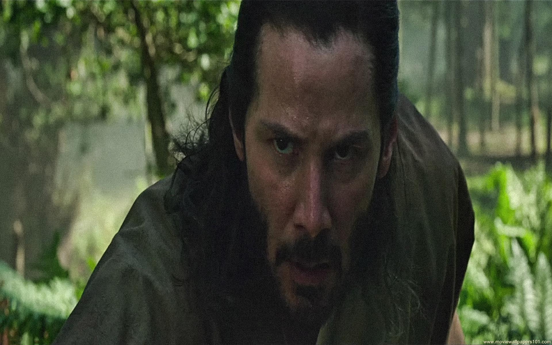 Forest - HD Wallpaper 