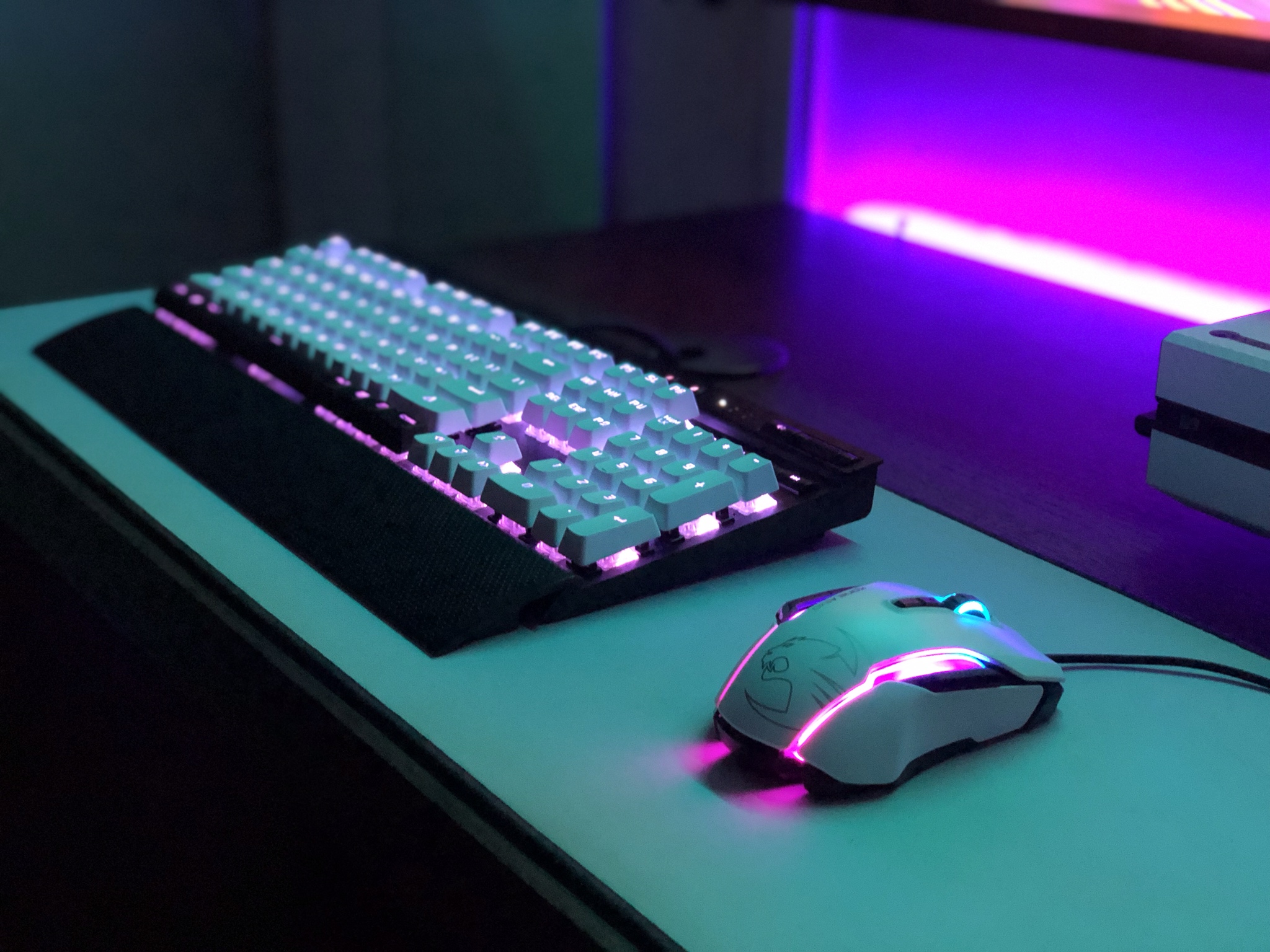 Mouse - HD Wallpaper 