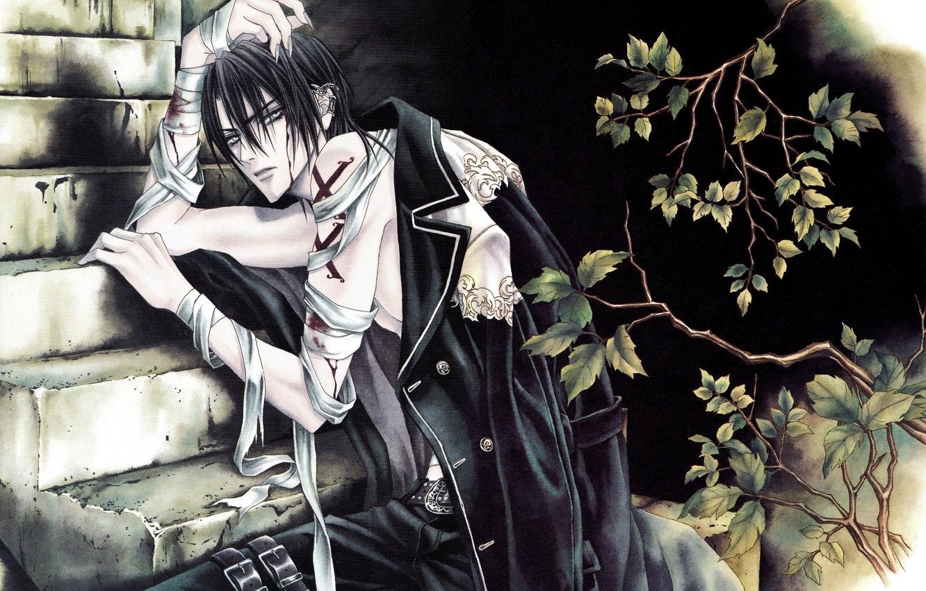 Photo Wallpaper Branches, Blood, Ladder, Guy, Coat, - Betrayal Knows My Name Luka - HD Wallpaper 