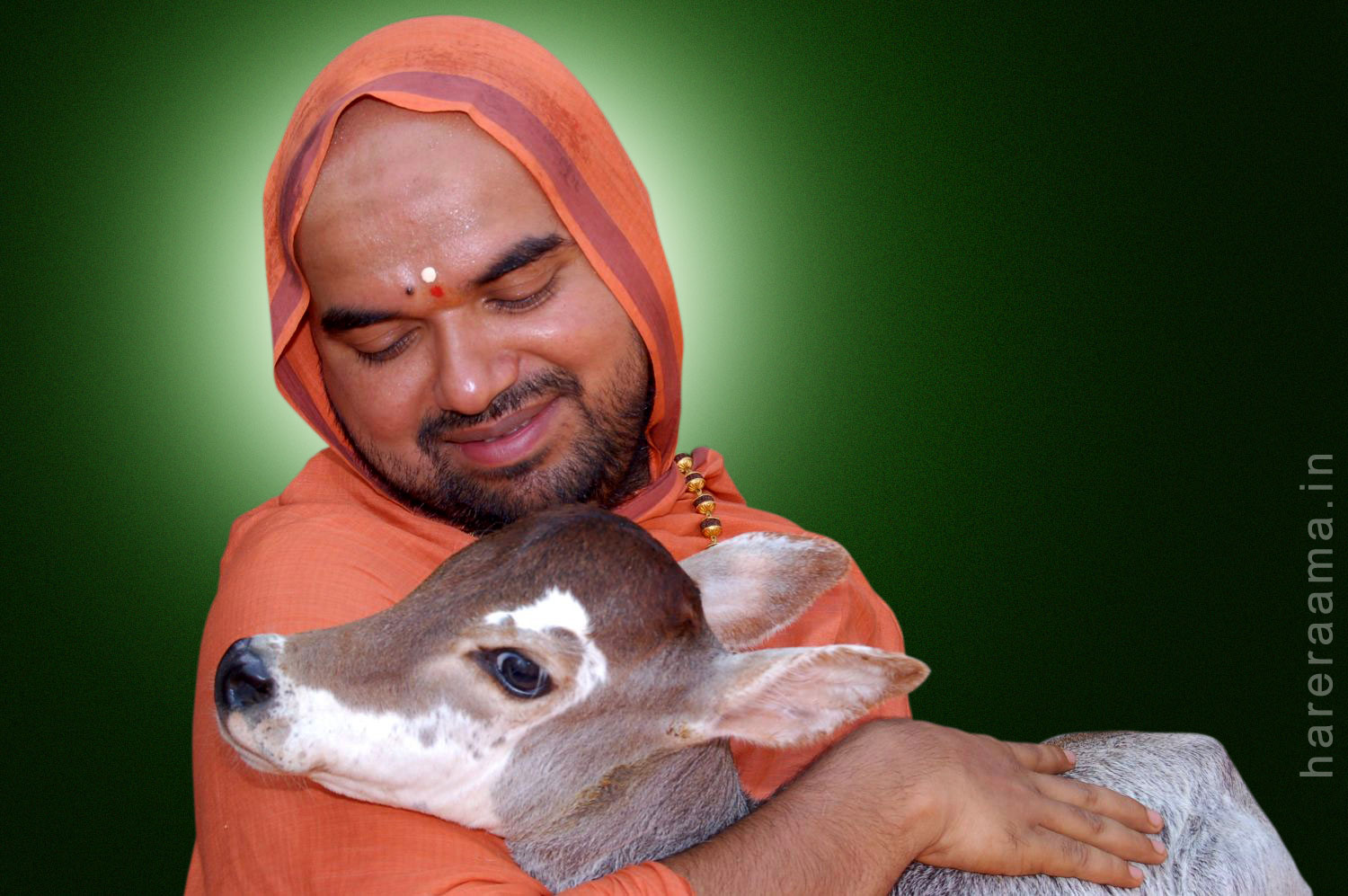 Sri Sri Raghaveshwara Bharathi Swamiji - 1500x997 Wallpaper Sri Sri Raghaveshwara Bharathi Swamiji - 1500x997 Wallpaper