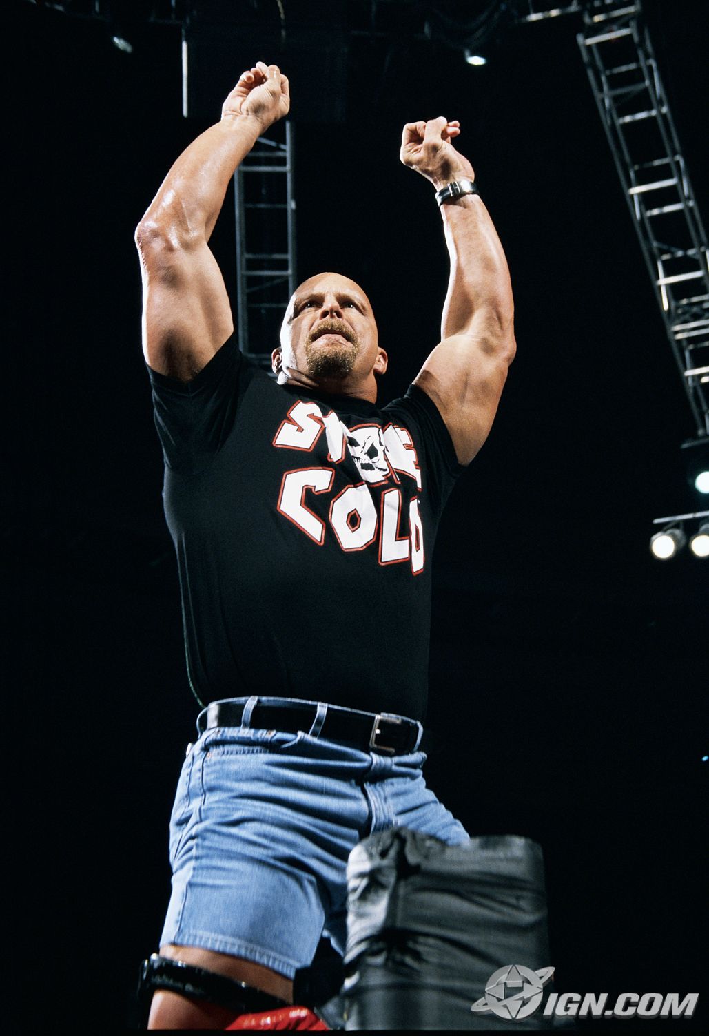 Wwe Wallpapers - Stone Cold Steve Austin Jorts - HD Wallpaper 