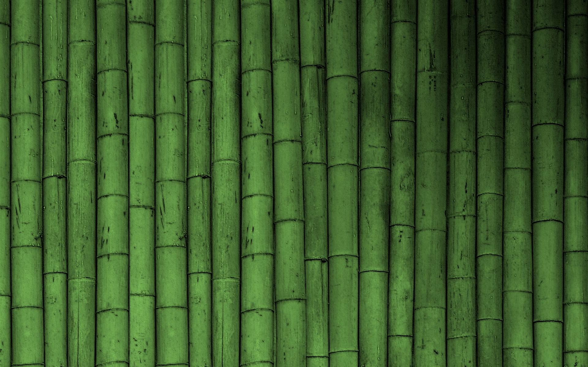 Hd Bamboo Wallpapers Download Free 1280ã800 Bamboo - Green Wallpaper Bamboo - HD Wallpaper 