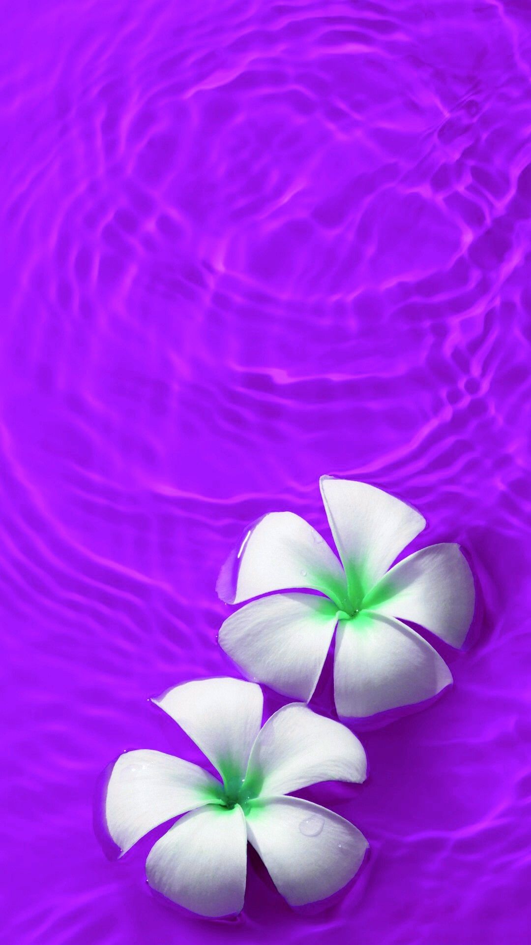 Backgrounds Iphone Flowery Wallpaper Artist Unknown - HD Wallpaper 