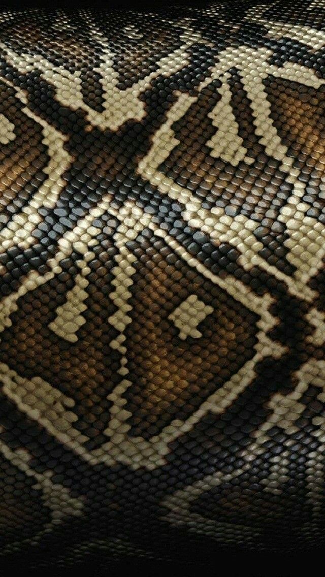 Snake Skin Wallpaper Hd Iphone - HD Wallpaper 