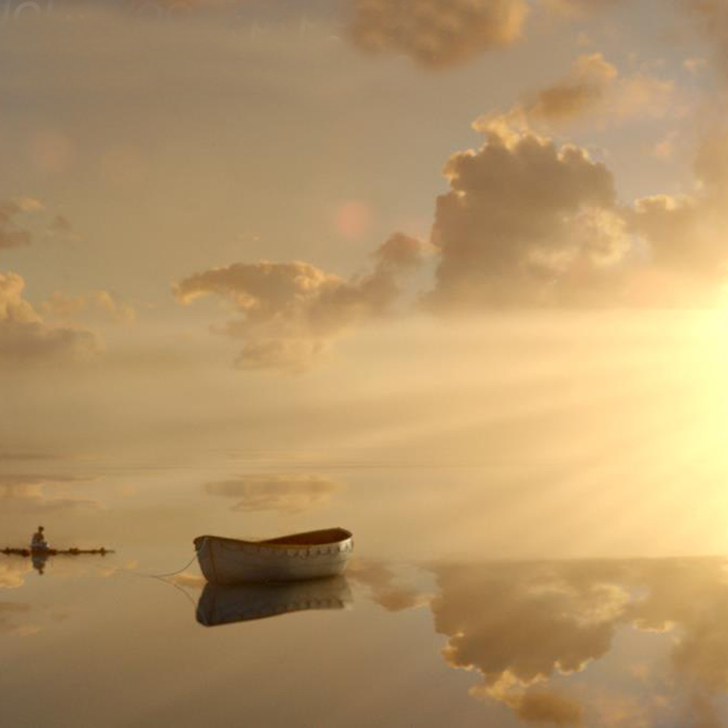 Life Of Pi Ipad Wallpaper - Life Of Pi - HD Wallpaper 