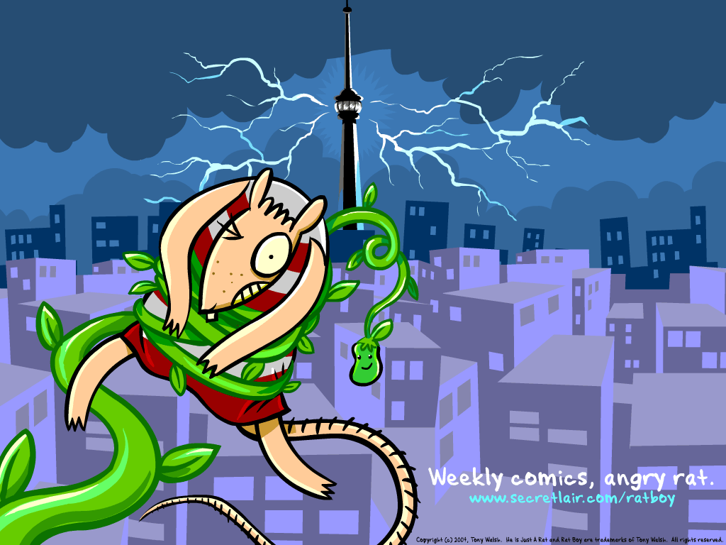 Cartoon - HD Wallpaper 