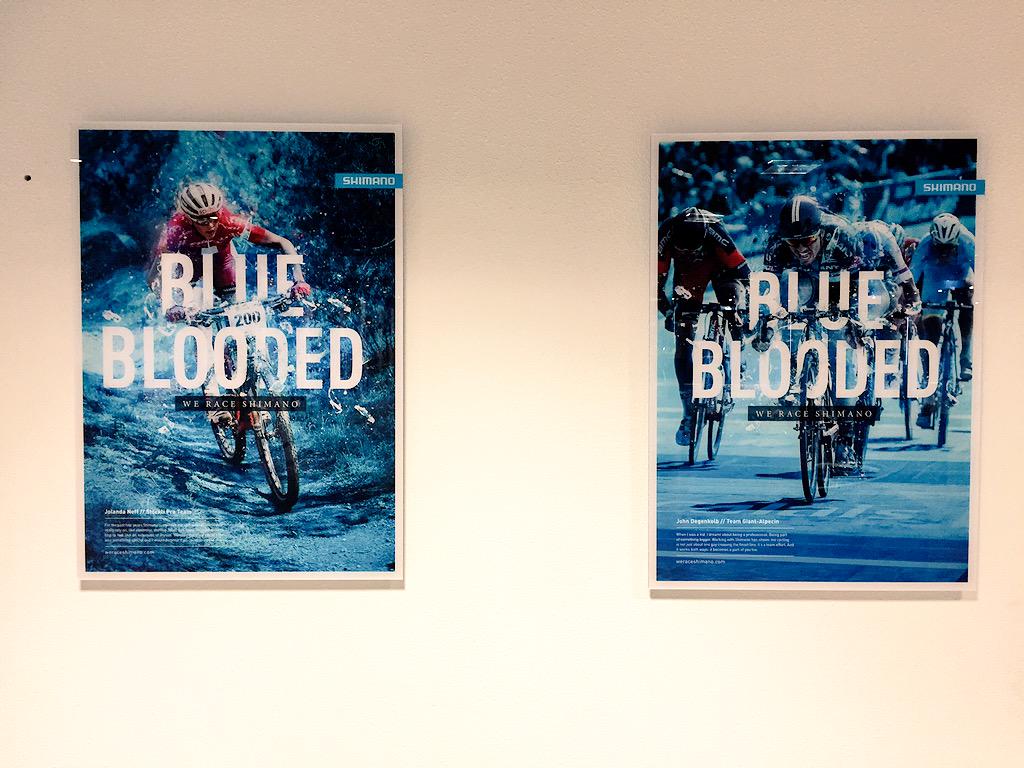 Picture Frame - HD Wallpaper 