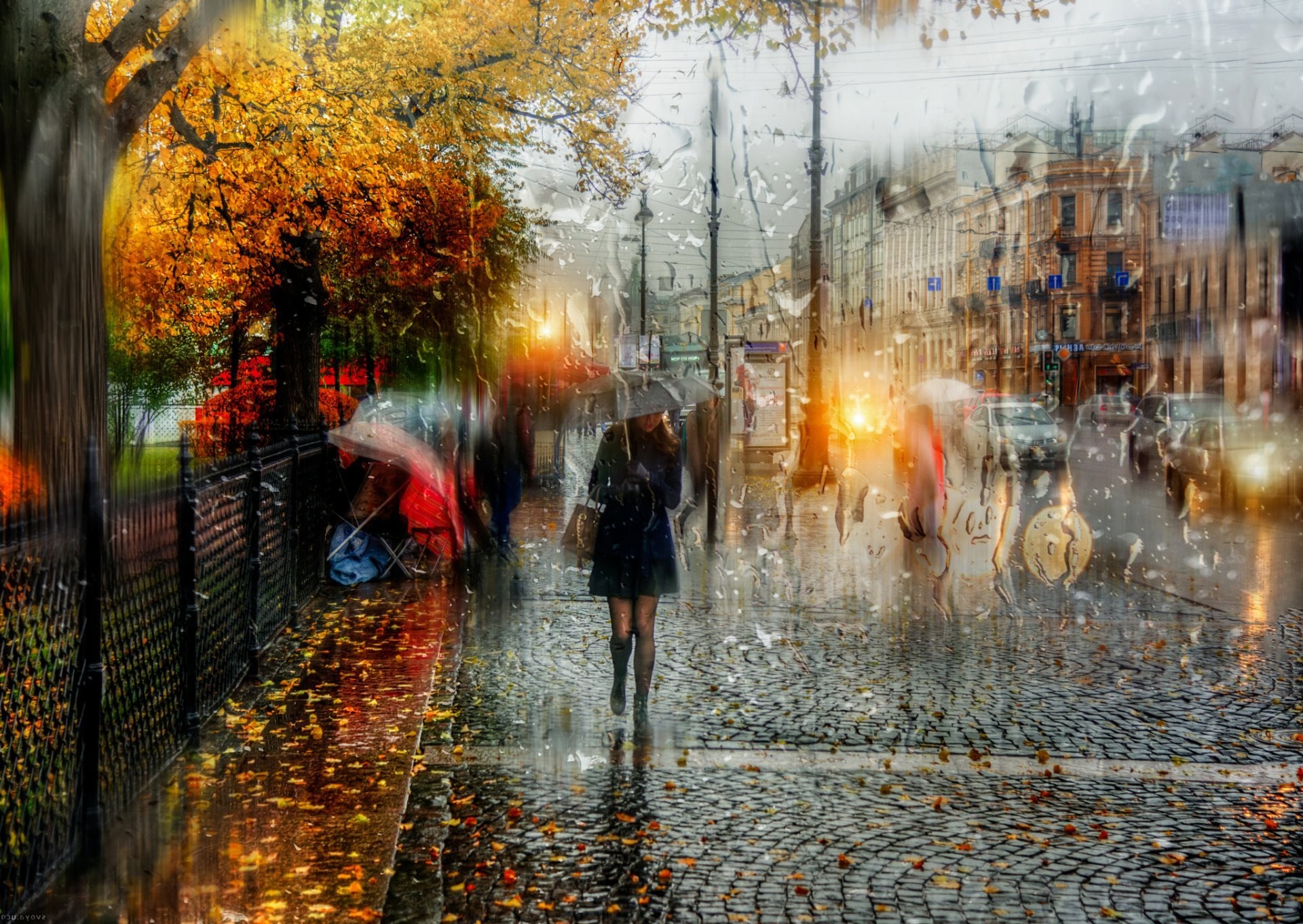 Petersburg Autumn Rain Girl Umbrella Drops 
 Data Src - Rainy Autumn Wallpaper Hd - HD Wallpaper 
