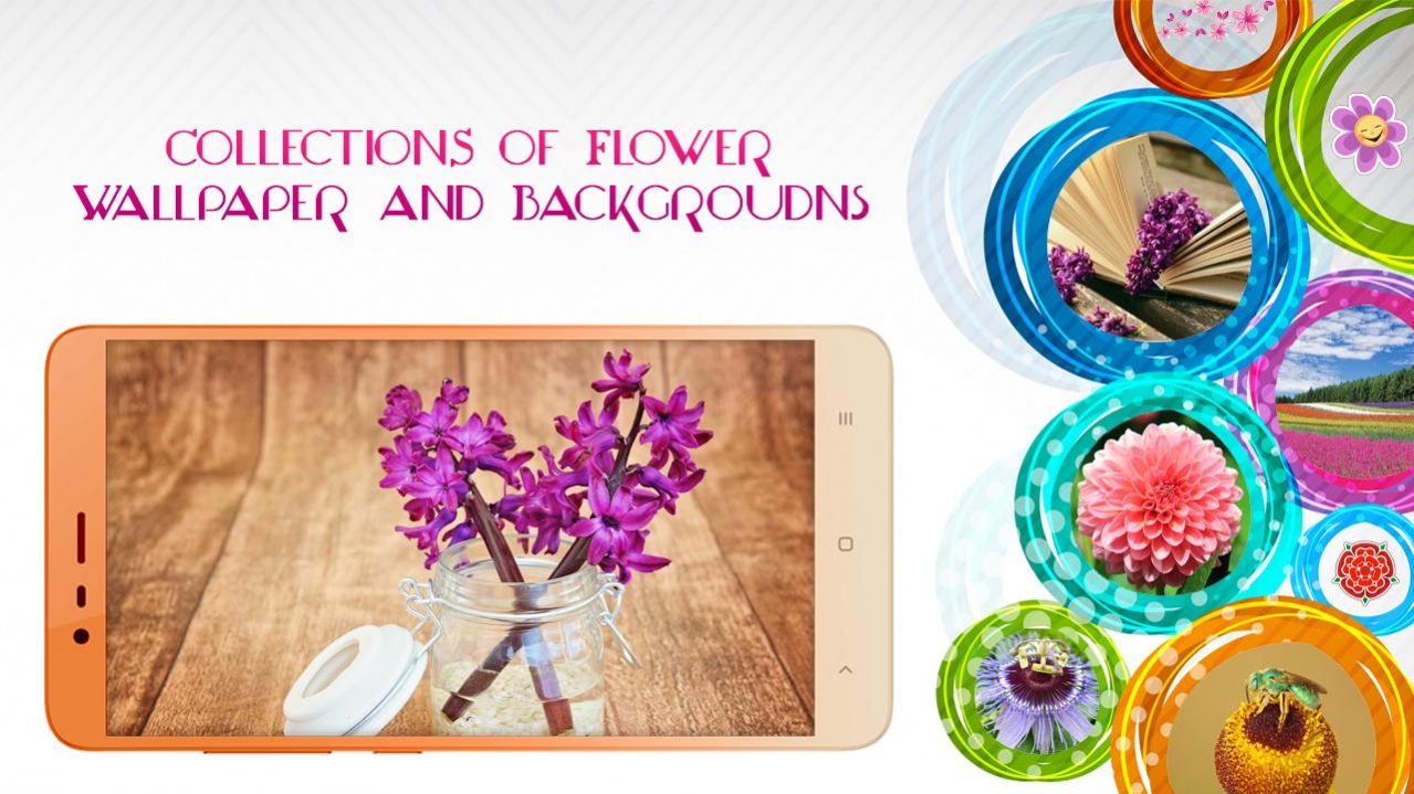 Flower In Jar Hd - HD Wallpaper 