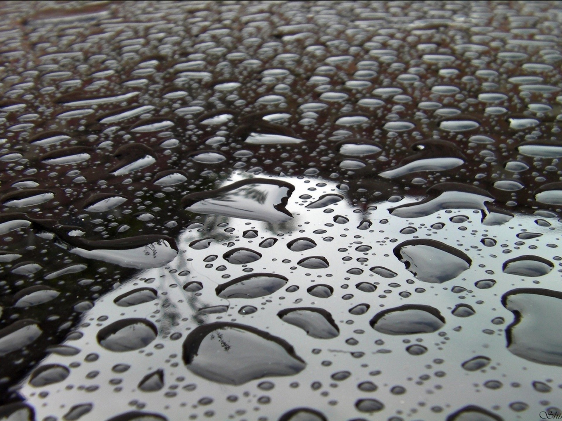 Wallpaper - HD Wallpaper 